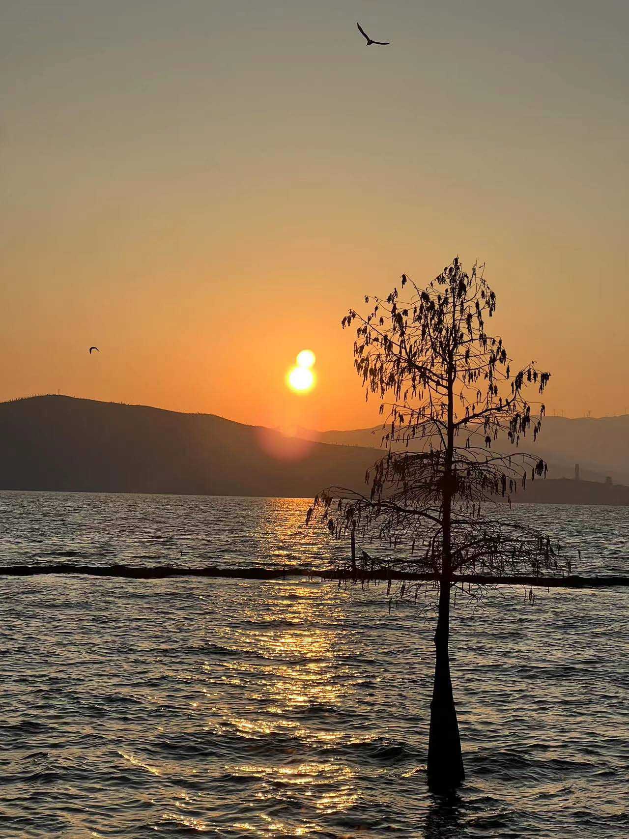 洱海日出